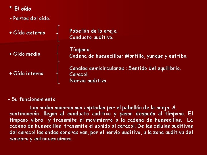 * El oído. - Partes del oído. + Oído externo Pabellón de la oreja.