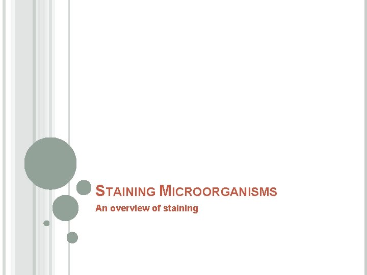 STAINING MICROORGANISMS An overview of staining 