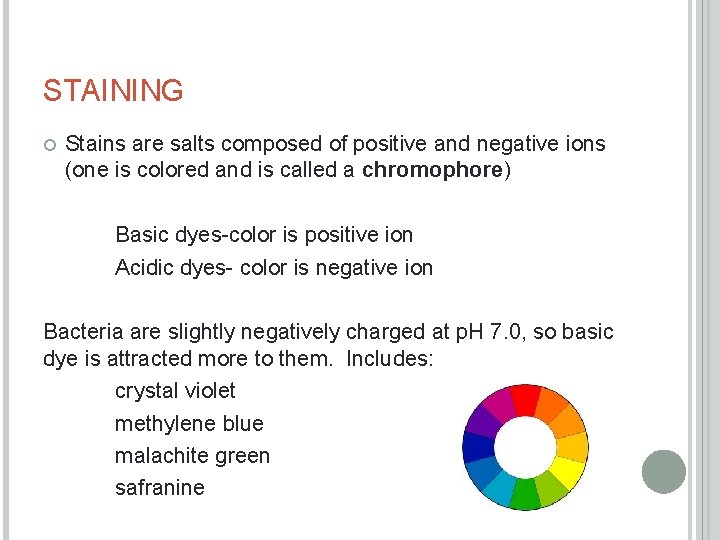 STAINING Stains are salts composed of positive and negative ions (one is colored and