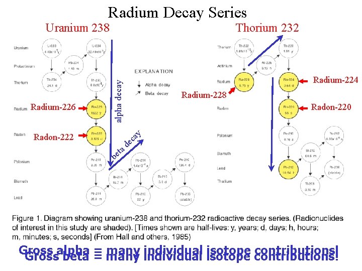 Radium Decay Series Uranium 238 Radium-224 alpha decay Radium-226 Thorium 232 Radium-228 Radon-220 y Radium Decay Series Uranium 238 Radium-224 alpha decay Radium-226 Thorium 232 Radium-228 Radon-220 y