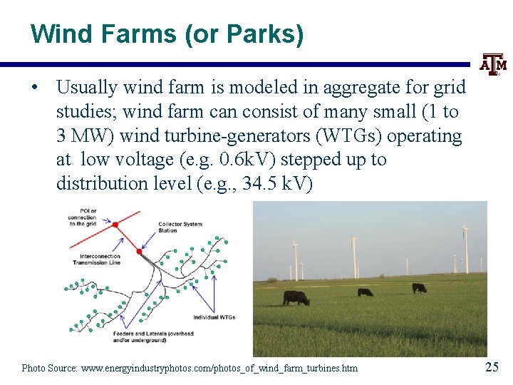 Wind Farms (or Parks) • Usually wind farm is modeled in aggregate for grid