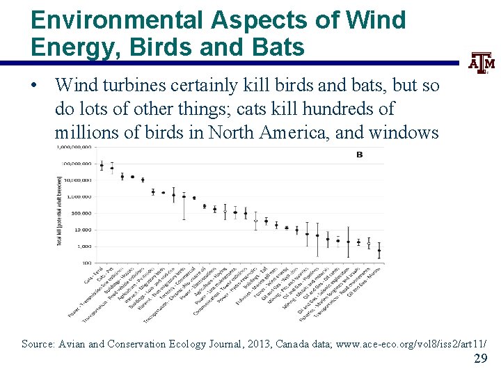 Environmental Aspects of Wind Energy, Birds and Bats • Wind turbines certainly kill birds