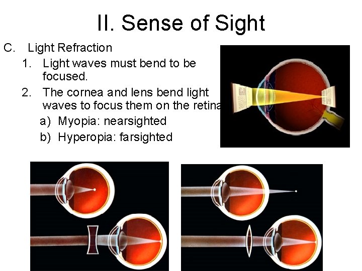 II. Sense of Sight C. Light Refraction 1. Light waves must bend to be