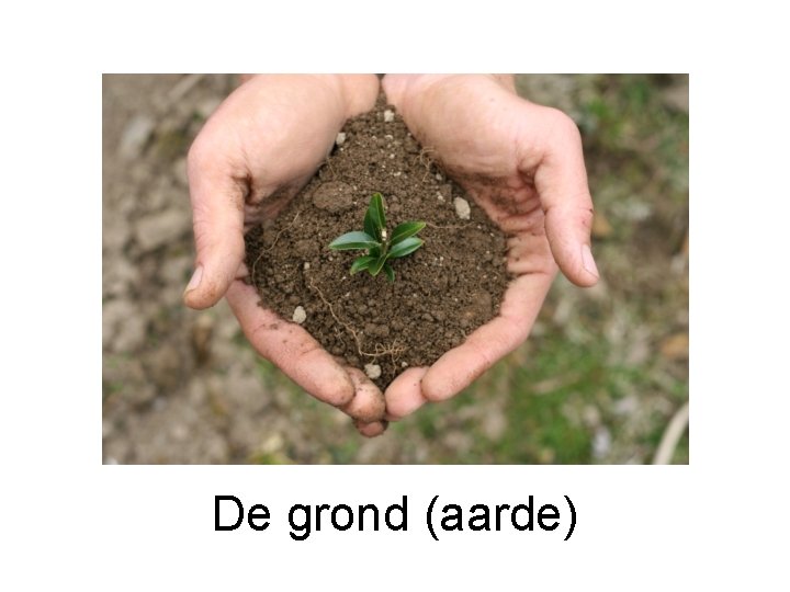 De grond (aarde) 