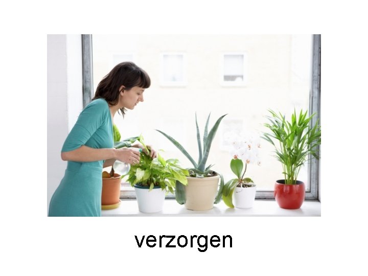 verzorgen 