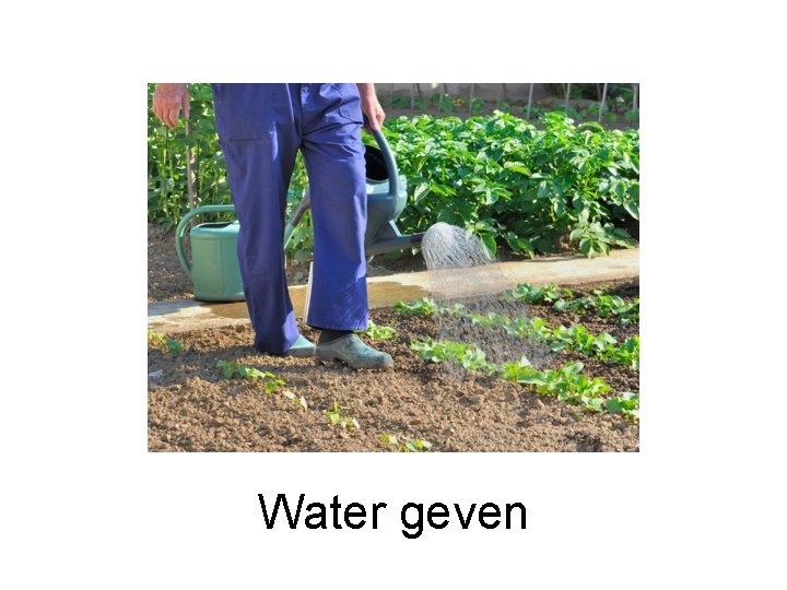 Water geven 