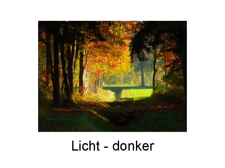 Licht - donker 