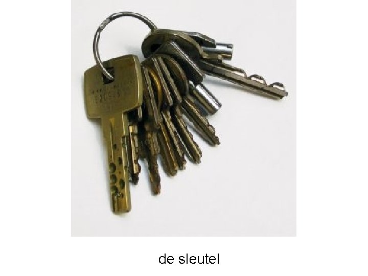 de sleutel 