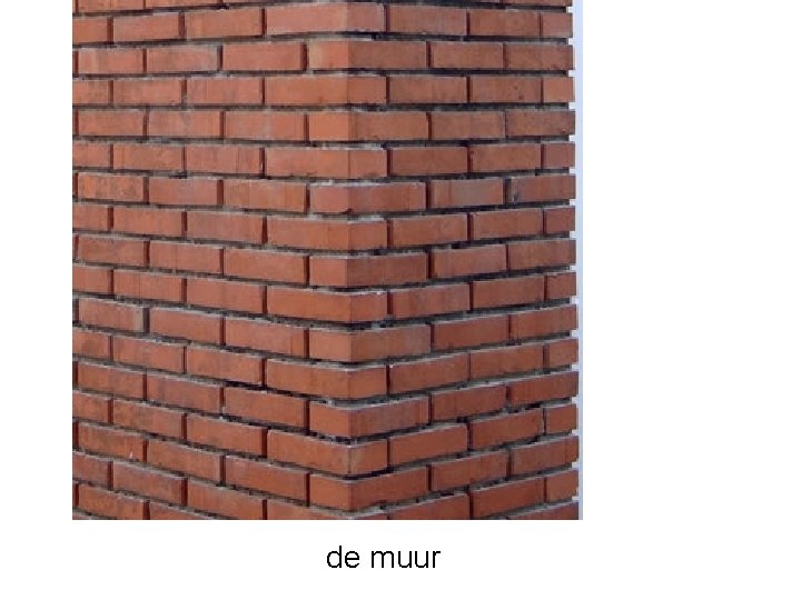 de muur 