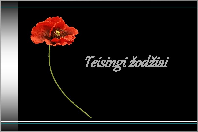 Teisingi žodžiai 