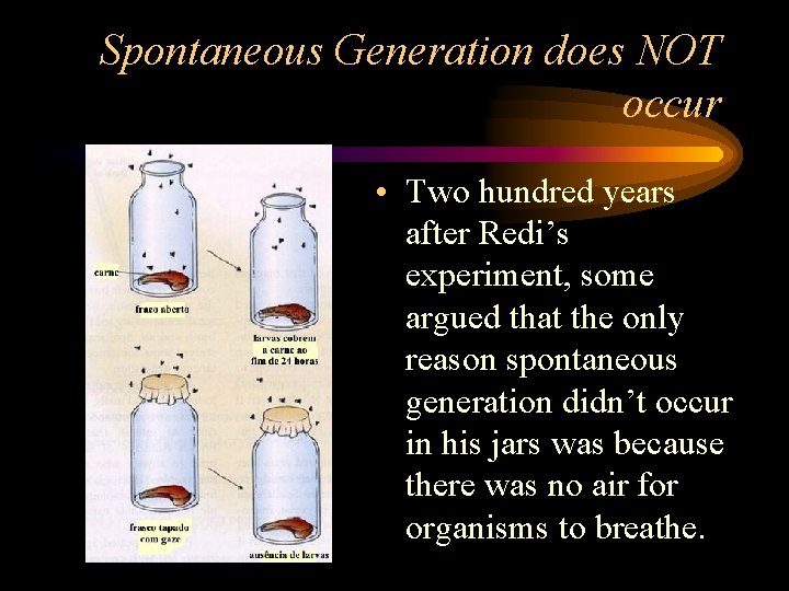 Spontaneous Generation does NOT occur • Two hundred years after Redi’s experiment, some argued