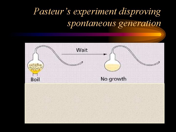 Pasteur’s experiment disproving spontaneous generation 
