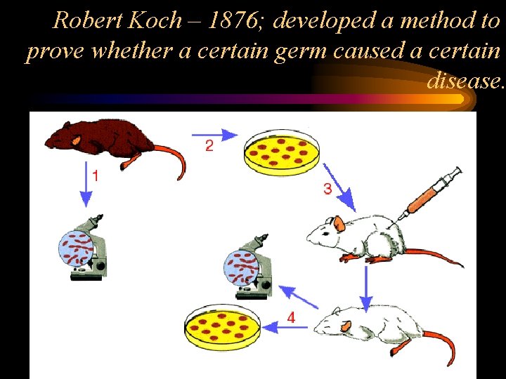 Robert Koch – 1876; developed a method to prove whether a certain germ caused