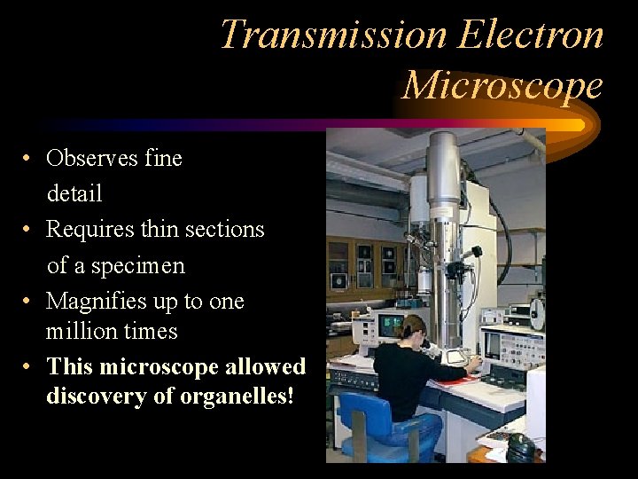 Transmission Electron Microscope • Observes fine detail • Requires thin sections of a specimen