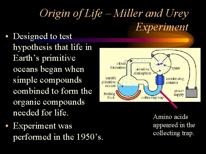 Origin of Life – Miller and Urey Experiment • Designed to test hypothesis that
