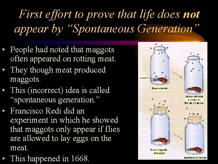 First effort to prove that life does not appear by “Spontaneous Generation” • People