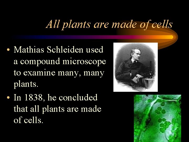 All plants are made of cells • Mathias Schleiden used a compound microscope to