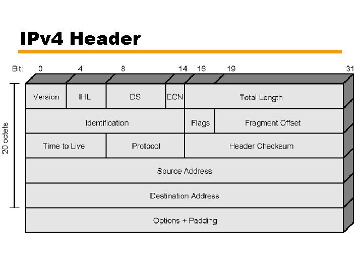 IPv 4 Header 