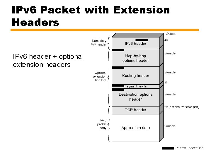 IPv 6 Packet with Extension Headers IPv 6 header + optional extension headers 