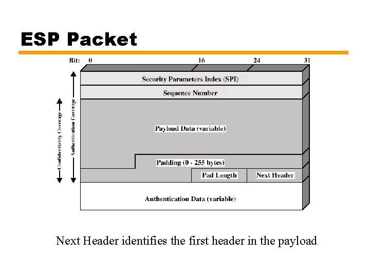 ESP Packet Next Header identifies the first header in the payload 