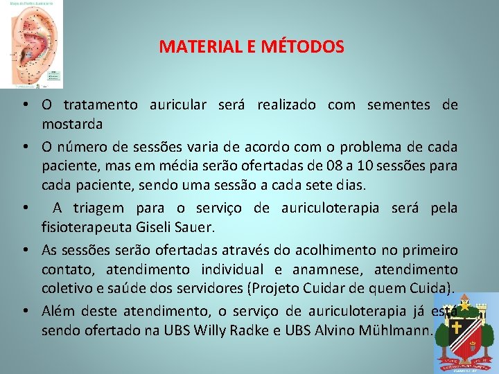 MATERIAL E MÉTODOS • O tratamento auricular será realizado com sementes de mostarda •