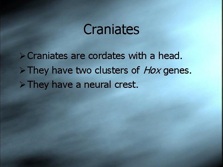 Chapter 34 Vertebrates Vertebrates These are a subphylum