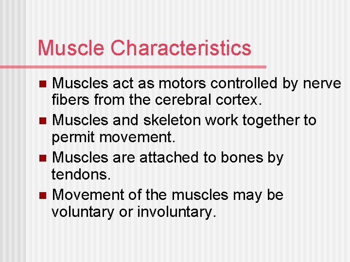 Muscle Characteristics Muscles act as motors controlled by nerve fibers from the cerebral cortex.