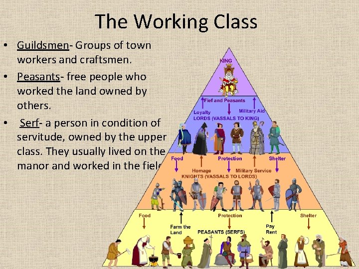 The Working Class • Guildsmen- Groups of town workers and craftsmen. • Peasants- free