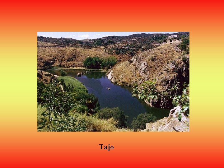 Tajo 