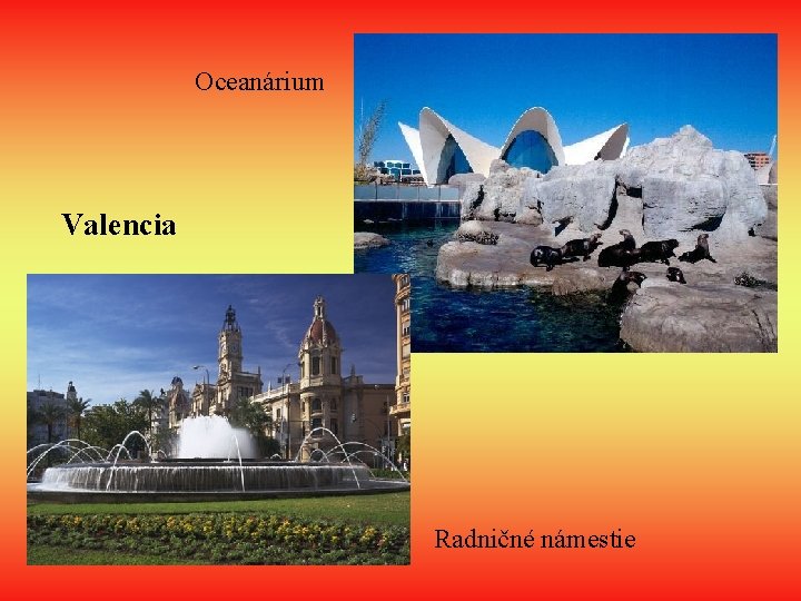 Oceanárium Valencia Radničné námestie 