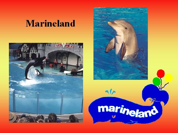 Marineland 