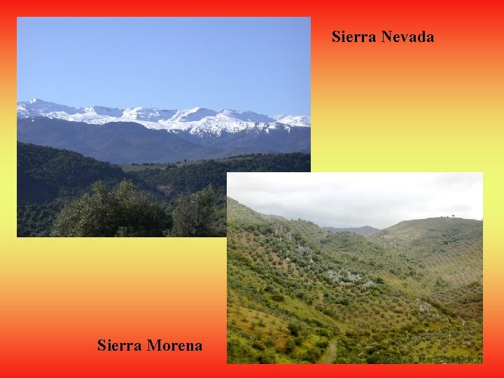 Sierra Nevada Sierra Morena 