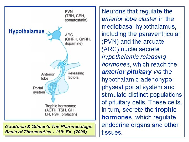 Goodman & Gilman's The Pharmacologic Basis of Therapeutics - 11 th Ed. (2006) Neurons