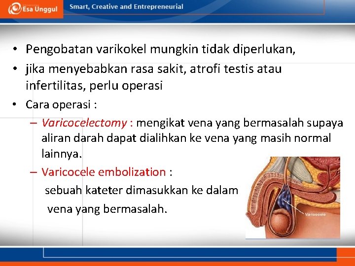  • Pengobatan varikokel mungkin tidak diperlukan, • jika menyebabkan rasa sakit, atrofi testis