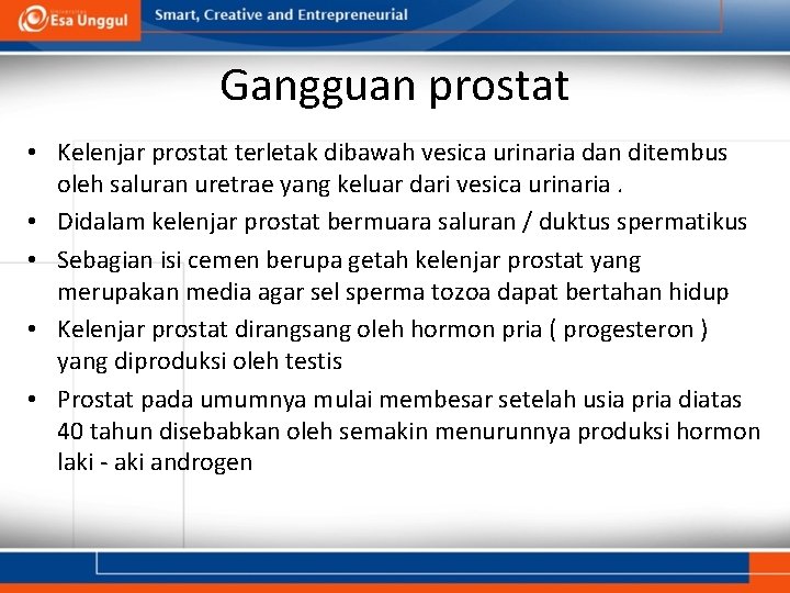 Gangguan prostat • Kelenjar prostat terletak dibawah vesica urinaria dan ditembus oleh saluran uretrae