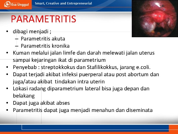 PARAMETRITIS • dibagi menjadi ; – Parametritis akuta – Parametritis kronika • Kuman melalui