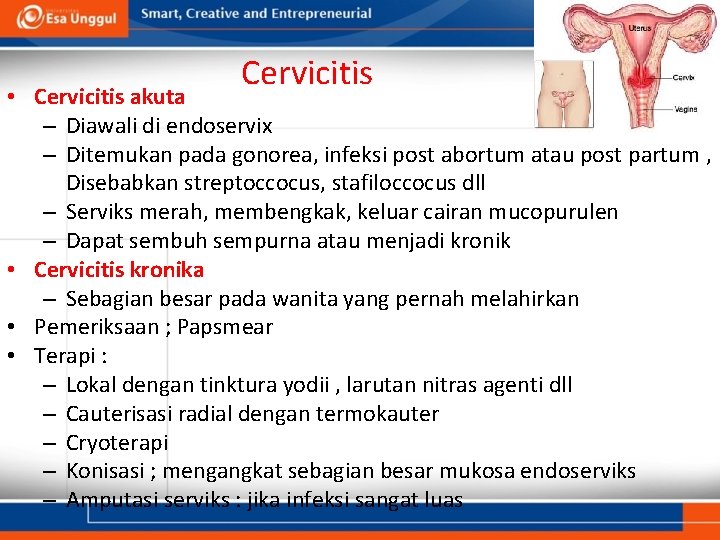 Cervicitis • Cervicitis akuta – Diawali di endoservix – Ditemukan pada gonorea, infeksi post