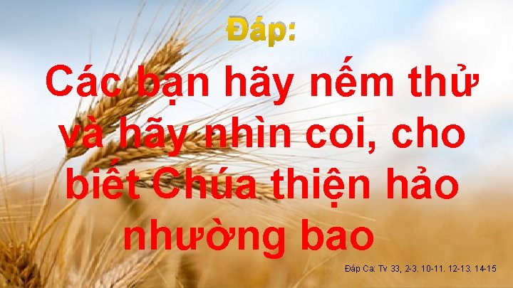 Ðáp: Các bạn hãy nếm thử và hãy nhìn coi, cho biết Chúa thiện