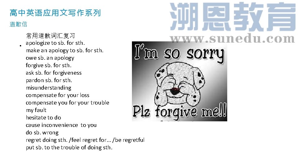 高中英语应用文写作系列 道歉信 . 常用道歉词汇复习 apologize to sb. for sth. make an apology to sb.