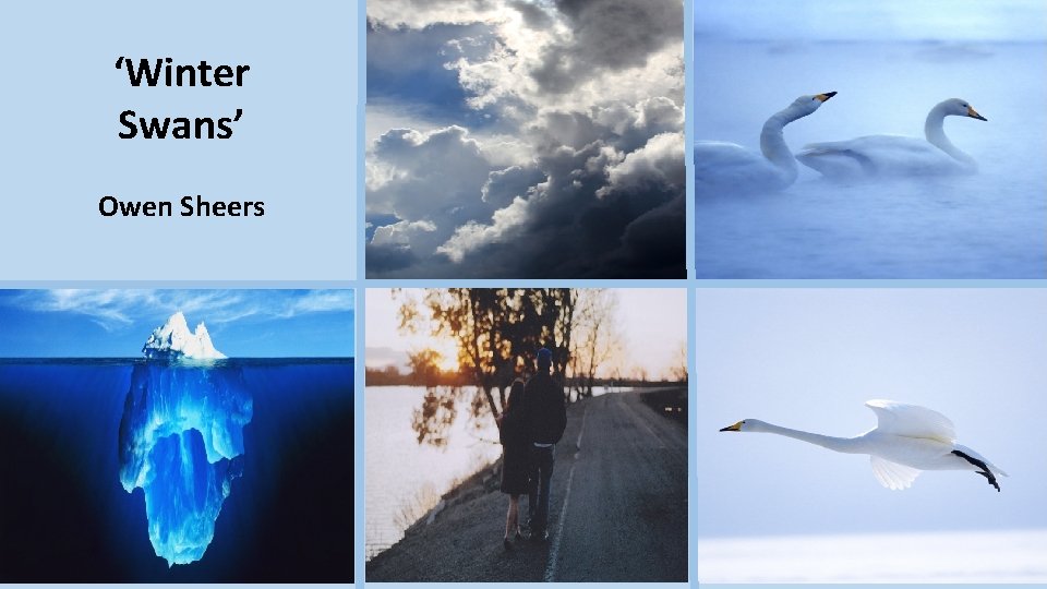 ‘Winter Swans’ Owen Sheers 