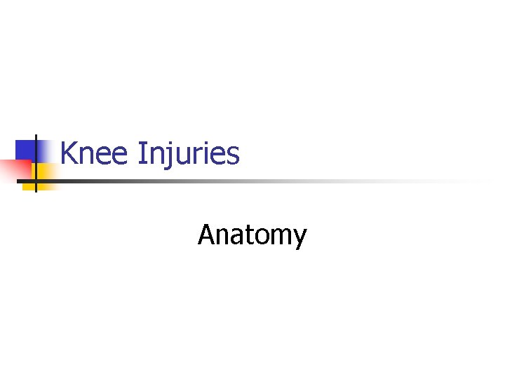 Knee Injuries Anatomy 