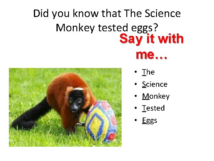 Did you know that The Science Monkey tested eggs? Say it with me… •