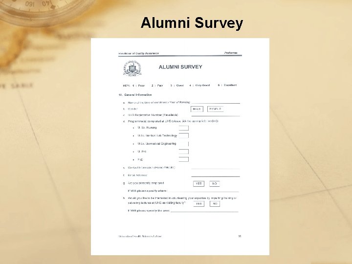 Alumni Survey 