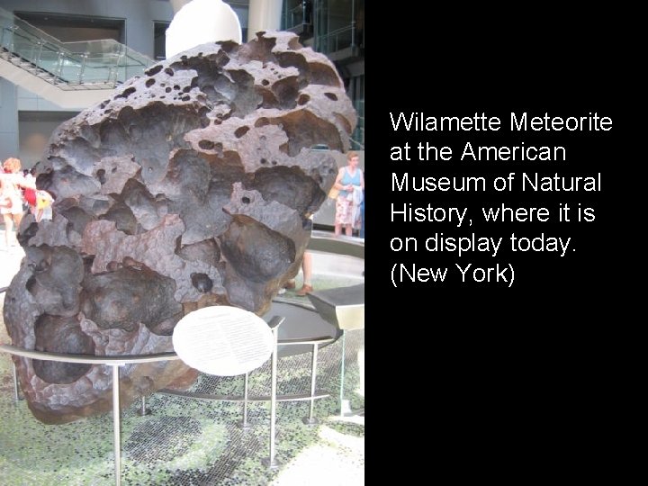 Wilamette Meteorite at the American Museum of Natural History, where it is on display