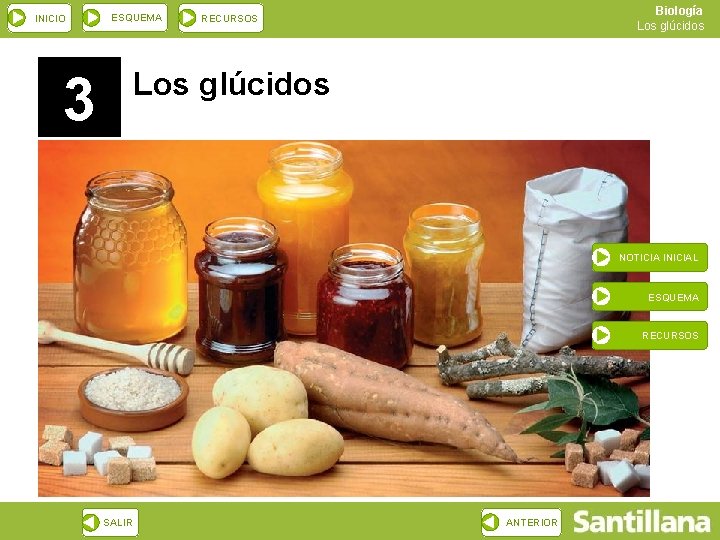 INICIO ESQUEMA 3 Biología Los glúcidos RECURSOS Los glúcidos NOTICIA INICIAL ESQUEMA RECURSOS SALIR