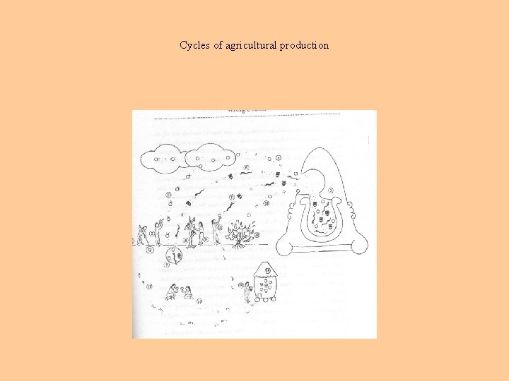 Cycles of agricultural production 