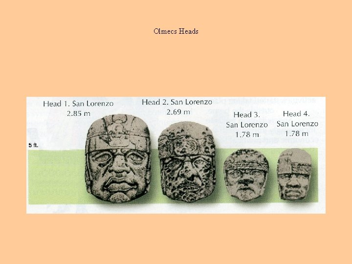 Olmecs Heads 