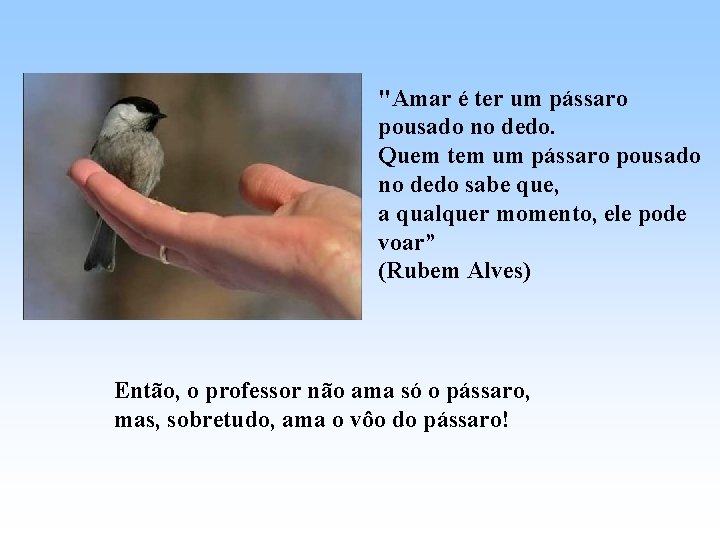 "Amar é ter um pássaro pousado no dedo. Quem tem um pássaro pousado no