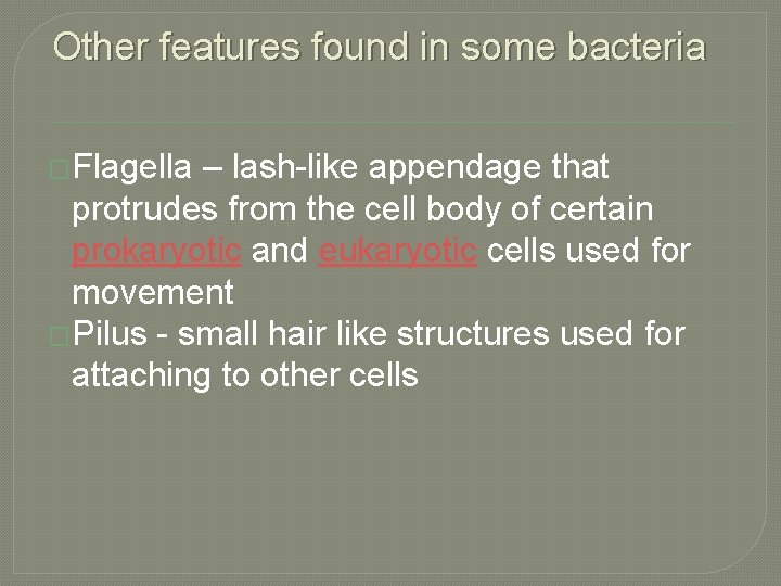 Other features found in some bacteria �Flagella – lash-like appendage that protrudes from the