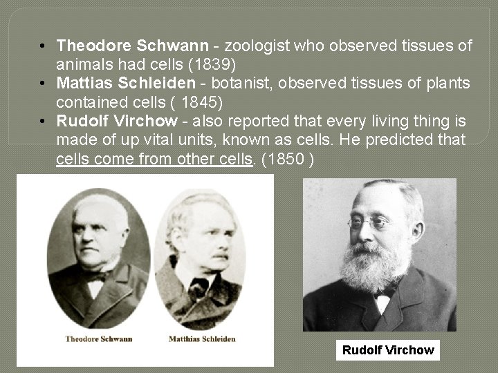  • Theodore Schwann - zoologist who observed tissues of animals had cells (1839)